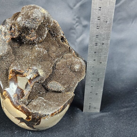 Septarian - Picture 8 of 9